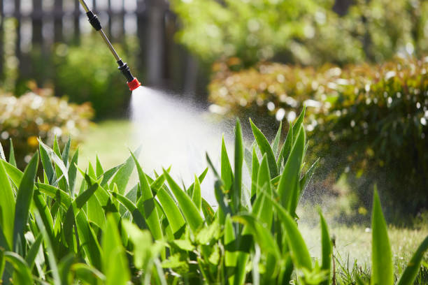 24/7 Emergency Mosquito Control experts in Elwood, IN